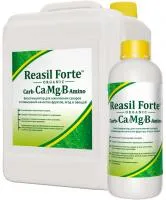 РЕАСИЛ ФОРТЕ Carb-Ca/Mg/B Amino (1 литр) Сила жизни