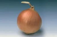 Лук Яровой БАНКО (250 000 семян) Syngenta