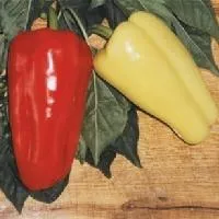 Перец сладкий ДЖИПСИ F1 (1000 семян) Seminis