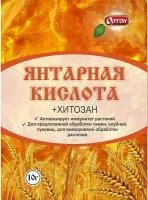 ЯНТАРНАЯ КИСЛОТА + хитозан (10 грамм) Ортон